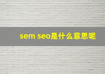 sem seo是什么意思呢